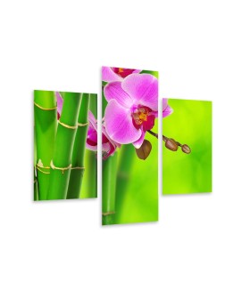 Multi-canvas 3x Bamboo orchid